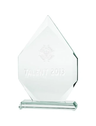 Skleněná 3D gravírovaná trofej s pouzdrem