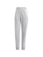 Dámské kalhoty adidas Tiro 24 Sweat, šedé, IS1011, 2XL