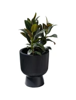 MILLY květináče na podstavci 24CM GREEN PINA dětské