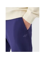 Pánské tepláky typu jogger 4F 4FWMM00TTROM1139-31S Pánské tepláky typu jogger 4F 4FWMM00TTROM1139-31S