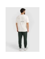 Pánské tepláky typu jogger 4F 4FRAW25TTROM1671-40M