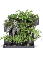 VERTIKÁLNÍ ZAHRADNÍ KVĚTINY STOJÍCÍ ANTHRACITE dětské