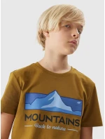 Chlapecké bavlněné tričko Chlapecké bavlněné tričko