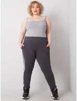 Tepláky RV DR 6643.95 grafit