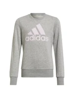 Dívky Big Logo Swt Jr HM8706 - Adidas Dívky Big Logo Swt Jr HM8706 - Adidas