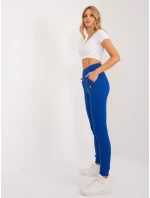 RV kalhoty SP 9602.26 kobalt