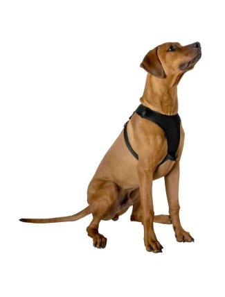 POSTROJ PRO PSY 67,6-106,5 CM