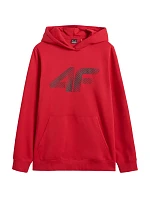 Mikina 4F M 4FWMM00TSWSM1766 062S pánské