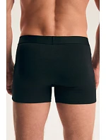 Pánské boxerky FADE, balení po 2 kusech, 45473 AW26 Pánské boxerky FADE, balení po 2 kusech, 45473 AW26