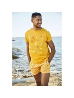 Helly Hansen pánské plavky Cadiz Trunk 34253 328