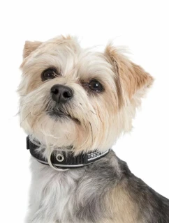 Trespass obojek pro psy