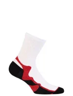 Pánské ponožky Wola Sportive W94.1N5 Ag+