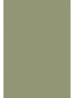 Dámské ponožky 073 - Steven