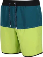 Pánské plavecké šortky RMM024 Benicio P7M zelená - Regatta