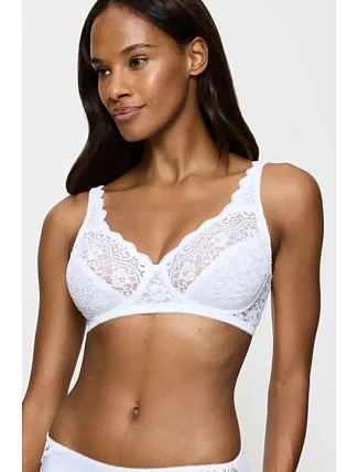 Soft model 229496 Triumph Soft model 229496 Triumph