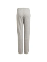 Dětské kalhoty adidas Essentials Logo grey GS4304
