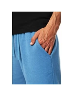 Pánské teplákové šortky 4F 4FWSS25TSHOM0818-32S