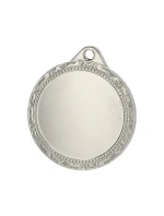 Celková stříbrná medaile s místem pro vložení