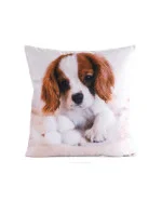 Eurofirany Povlak na polštářek Animal 45x45