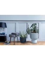 Květinový rybník MILLY, 24 cm v průměru BÍLÝ