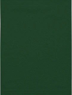 The One Towelling Guest 30x50 Ručník pro hosty 48.1003 green