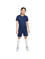 Šortky Nike Dri Fit Academy 25 Jr FZ9784 410