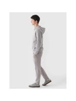 Pánské tepláky 4F 4FRAW24TTROM1170-27S