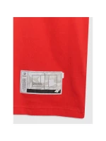 Pánské volejbalové tričko s potiskem 4F 4FRAW25TTSHM3319-62S