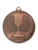 Celková bronzová medaile s pohárem