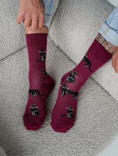 Pánské ponožky Cats 0125.034