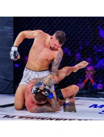 Rukavice MMAM - Harmony - Valor Series