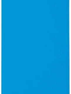 The One Towelling Sport Sportovní ručník 48.1027 turquoise