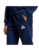 Dětské kalhoty adidas Entrada 26 Sweat navy blue JZ9135