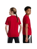 Dětské tričko adidas FC Bayern Mnichov červené IT4138