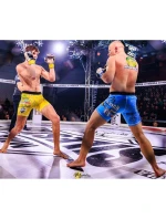 MMAsparringové rukavice S/M - Undefeated - Valor Series MMAsparringové rukavice S/M - Undefeated - Valor Series