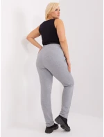 Tepláky RV DR 6736.58 šedá Tepláky RV DR 6736.58 šedá