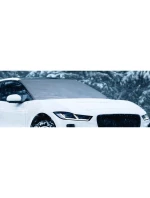 PE 85x185CM DUNLOP ANTI-SHRON SHIELD