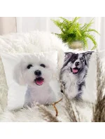 Eurofirany Povlak na polštářek Animal 45x45