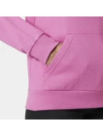 Helly Hansen Core Graphic Hoodie W 54239 089 Helly Hansen Core Graphic Hoodie W 54239 089