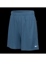 Pánské šortky HISAM