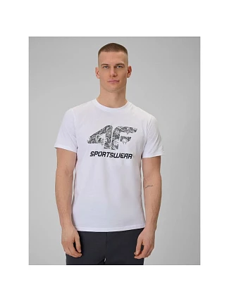 Pánské tričko s potiskem 4F 4FRAW25TTSHM3611-10S