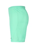 Pánská obuv Dry Park III NB K M BV6855 354 - Nike