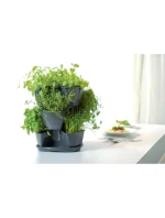 VERYKAL GARDEN CASCADE POND for herbs - WHITE Dětské