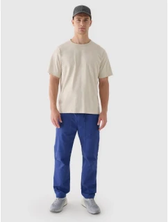 Pánské volnočasové kalhoty 4F 4FRAW24TTROM1349-31S