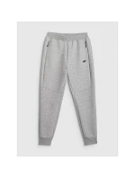 Pánské tepláky typu jogger 4F 4FRMM00TTROM1623-27M