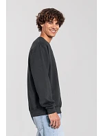 Fruit of the Loom Iconic 250 Set-In Sweat Mikina 16.2292 light graphite Fruit of the Loom Iconic 250 Set-In Sweat Mikina 16.2292 light graphite