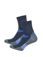 Pánské ponožky ACTIVE 0224.015