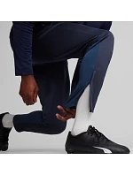 Puma Team Goal Training M kalhoty 658639 06