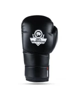 Boxerské rukavice 10oz - Eclipse - Origin Series