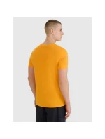 Pánské tričko s potiskem 4F 4FRSS25TTSHM2688-70S